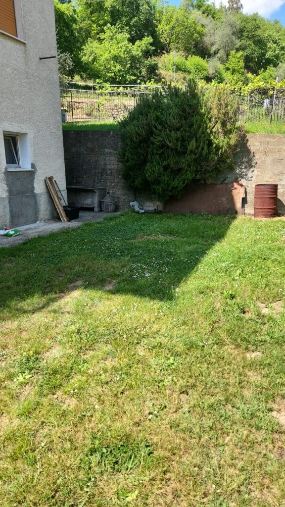 Cortile erboso con muro in cemento, grande cespuglio e piccolo barbecue esterno.