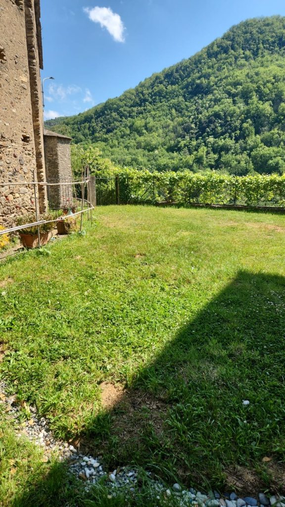 Prato soleggiato delimitato da vite rampicante e antica casa in pietra, con colline boscose sullo sfondo.