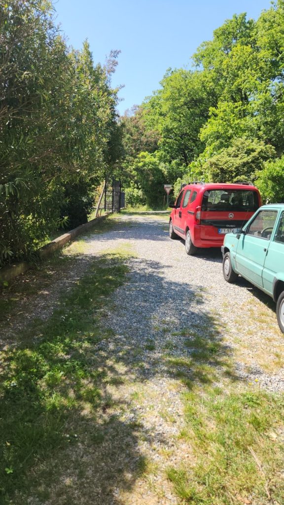 Vialetto in ghiaia con auto parcheggiate, circondato da vegetazione e alberi in una zona collinare.