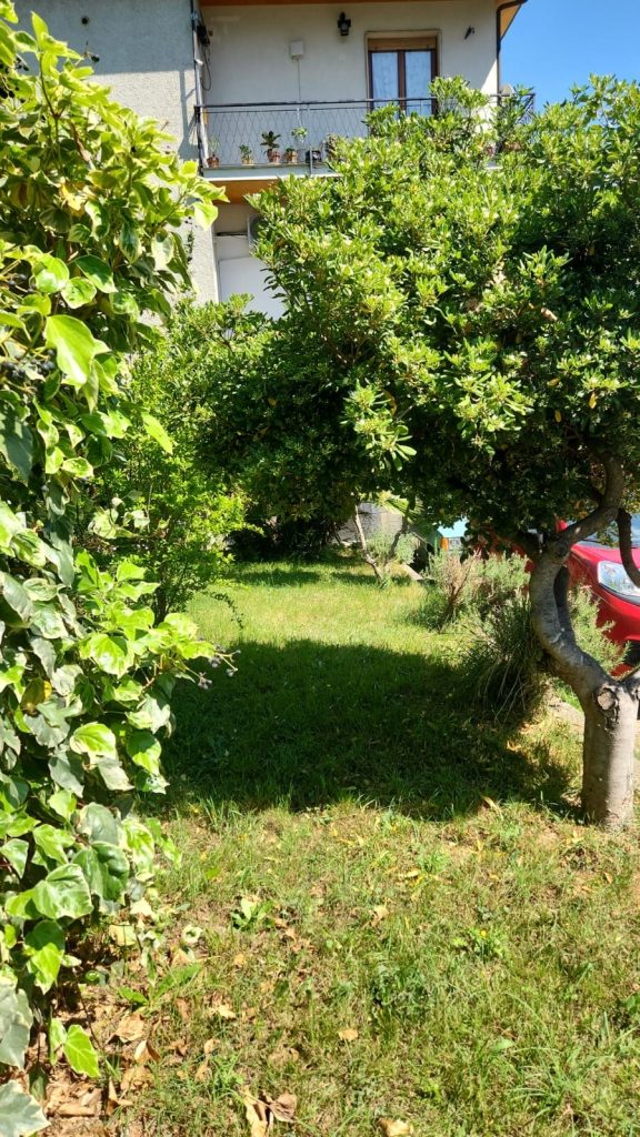 Angolo di giardino con alberi ornamentali e prato verde davanti a una casa con terrazzo.